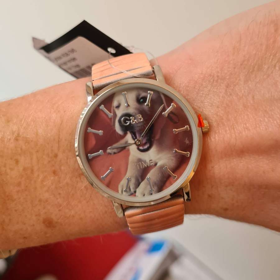 horloge labrador