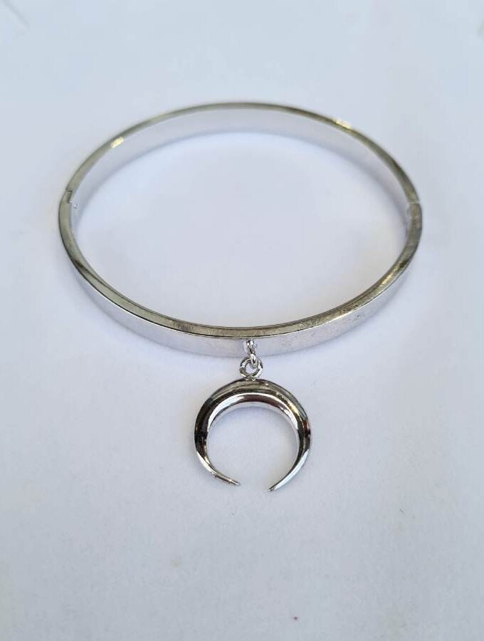 Armband zilver met tand stainless steel massief