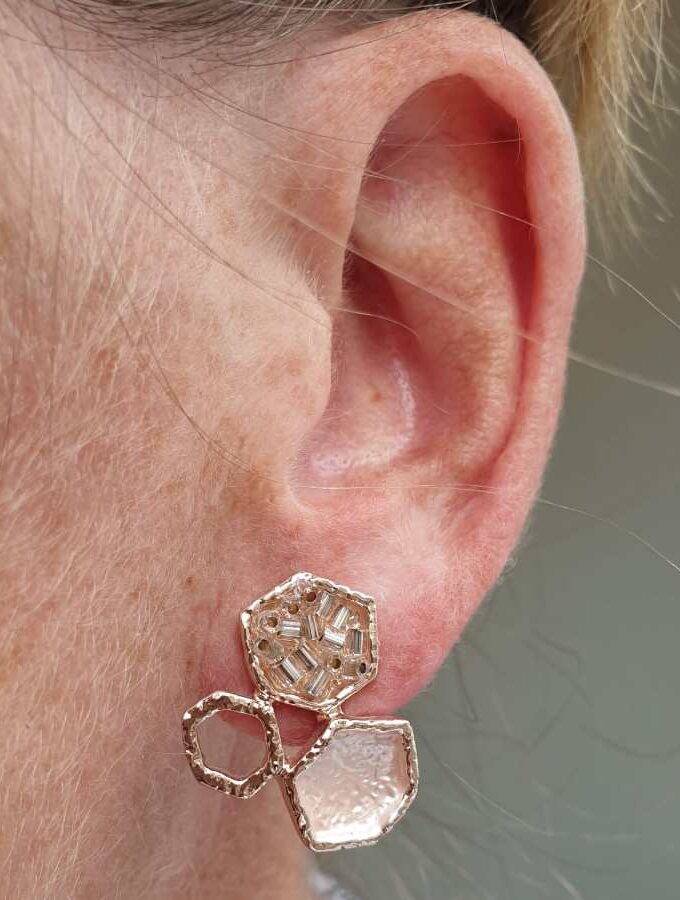 Oorbellen rose zeshoeken