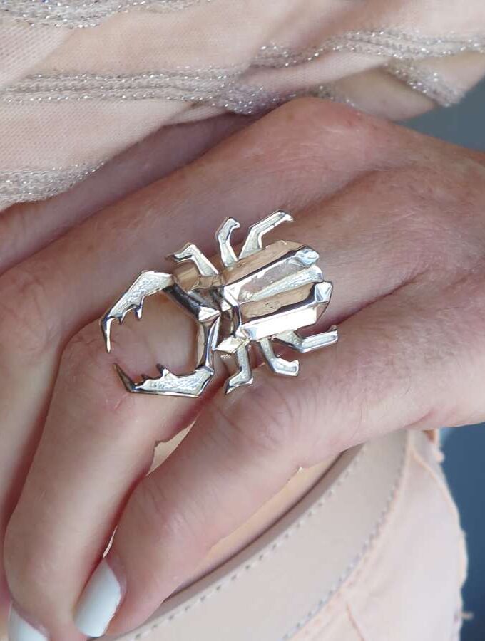 Ring zilverkleur insect
