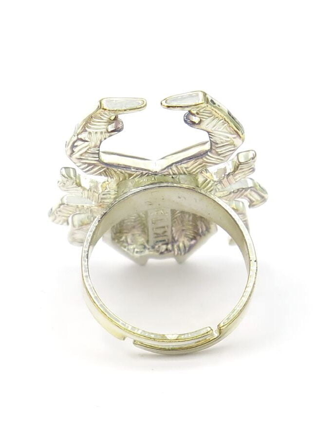Ring zilverkleur insect